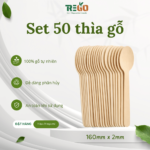 SET (50 cái) Thìa gỗ, Muỗng gỗ dùng một lần kích thước 160mm