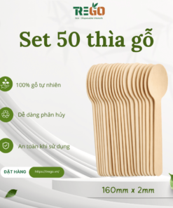SET (50 cái) Thìa gỗ, Muỗng gỗ dùng một lần kích thước 160mm